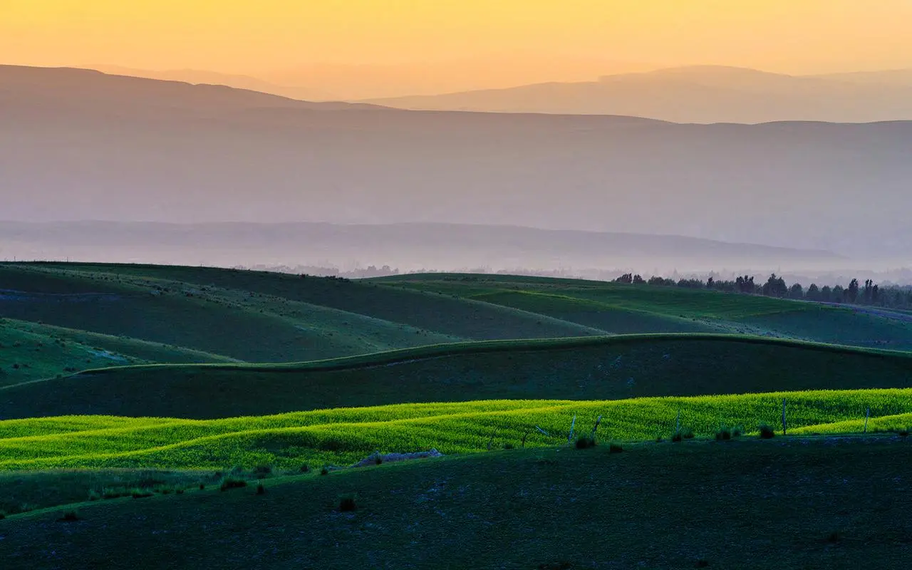 节能高精度网络化